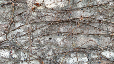 Similar image 21405838