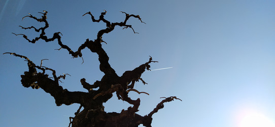 Similar image 21405933