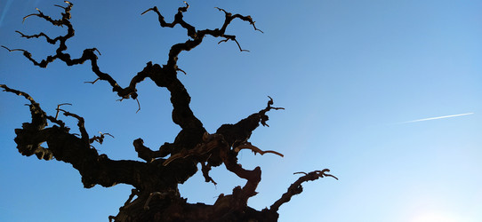 Similar image 21406161