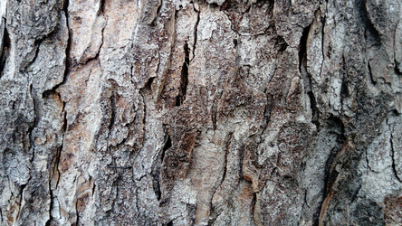 Similar image 21406389