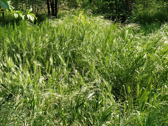 Similar image 21415786