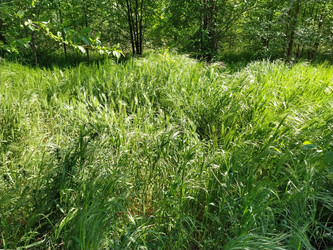 Similar image 21415787