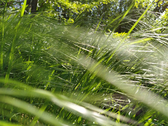 Similar image 21415789