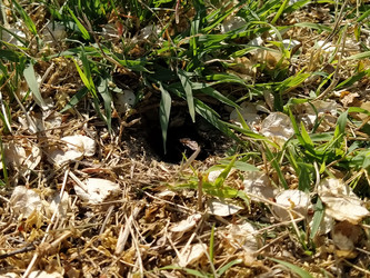 Similar image 21415790