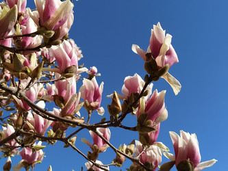 Similar image 21415792