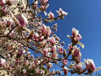 Similar image 21415793