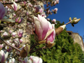 Similar image 21415797