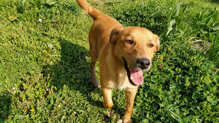 Similar image 21415798