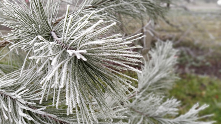 Similar image 21415973