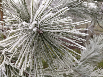 Similar image 21415978