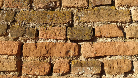 Similar image 21416335