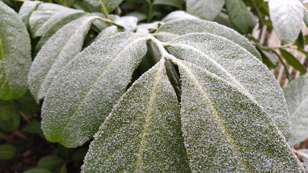 Similar image 21416882