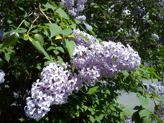 Similar image 21418091