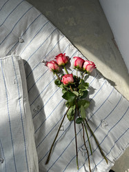 Similar image 21400408