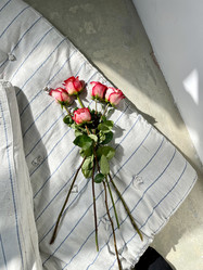 Similar image 21400409