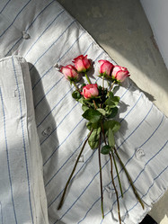 Similar image 21400410