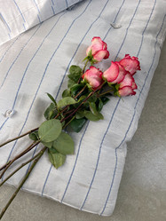 Similar image 21400415