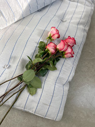 Similar image 21400416