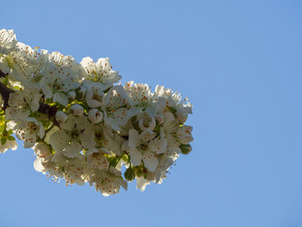 Similar image 21383831