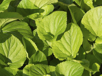 Similar image 21383835