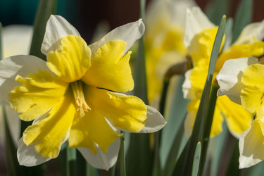 Similar image 21383837