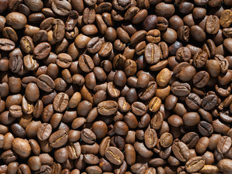 Similar image 21383958