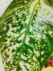 Similar image 21383311