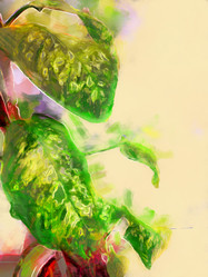 Similar image 21383312