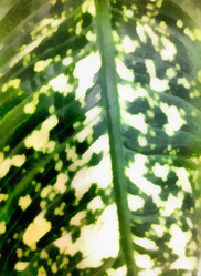 Similar image 21383313