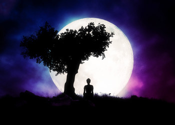 Similar image 21383317