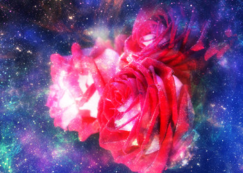 Similar image 21383326