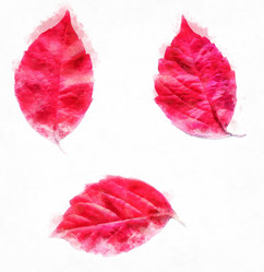 Similar image 21383335