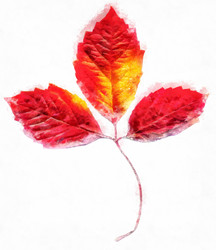 Similar image 21383336