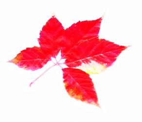 Similar image 21383337