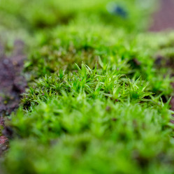 Similar image 21382088