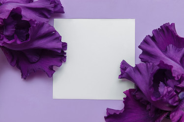 Similar image 21421841