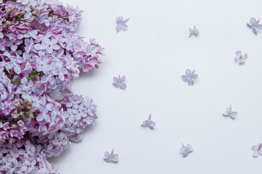 Similar image 21421843