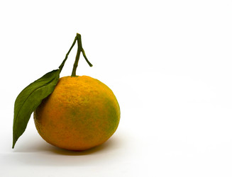 Similar image 21387175