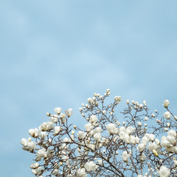 Similar image 21382213