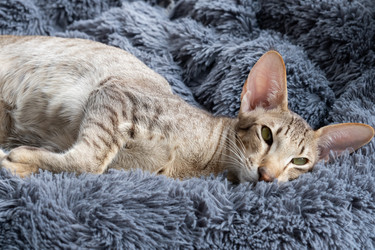 Similar image 21382214