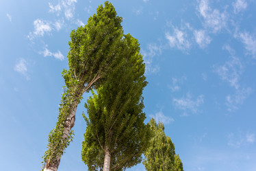 Similar image 21382220