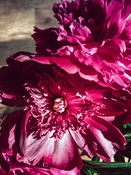 Similar image 21399899