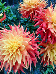 Similar image 21399900