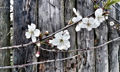 Similar image 21399902