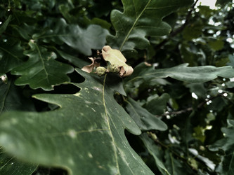 Similar image 21402728