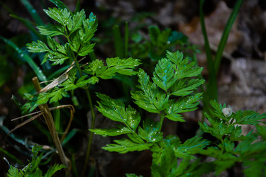 Similar image 21402729