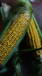 Similar image 21402730