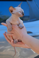 Similar image 21381992