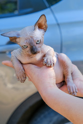 Similar image 21381993