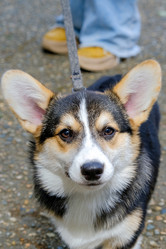 Similar image 21381994